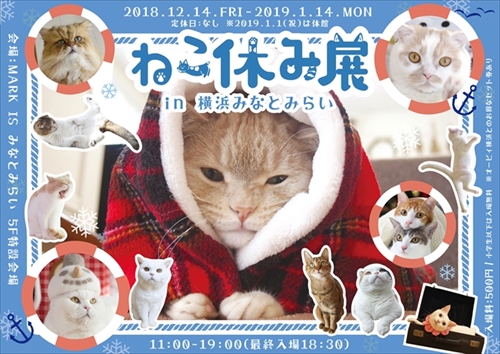 ねこ休み展