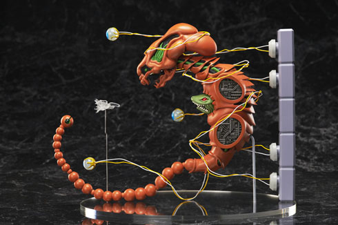 ドブケラドプス