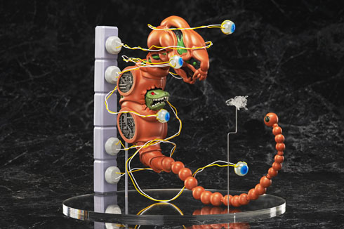 ドブケラドプス