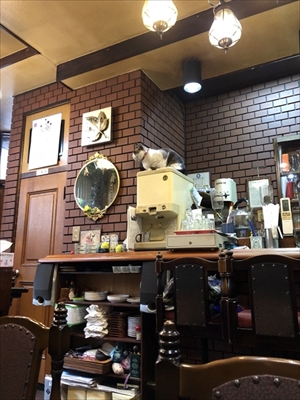 隣の席が猫ちゃん