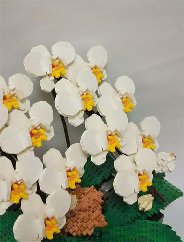 ナノブロック　コンテンスト　2018　受賞