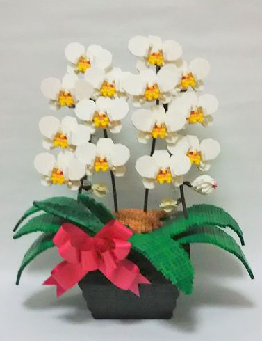 ナノブロック　コンテンスト　2018　受賞