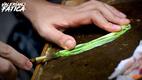 フルーツカービング