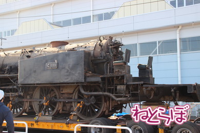 東武 SL大樹 C11型蒸気機関車 C11-1