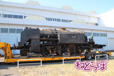 東武 SL大樹 C11型蒸気機関車 C11-1