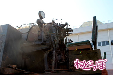 東武 SL大樹 C11型蒸気機関車 C11-1