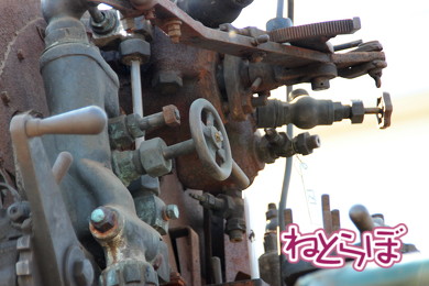 東武 SL大樹 C11型蒸気機関車 C11-1