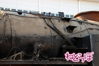 東武 SL大樹 C11型蒸気機関車 C11-1