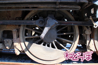 東武 SL大樹 C11型蒸気機関車 C11-1