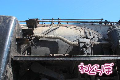 東武 SL大樹 C11型蒸気機関車 C11-1