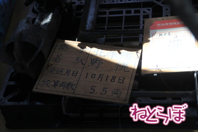 東武 SL大樹 C11型蒸気機関車 C11-1