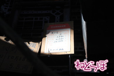 東武 SL大樹 C11型蒸気機関車 C11-1