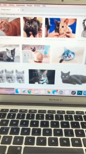 嫉妬しちゃうワンコ