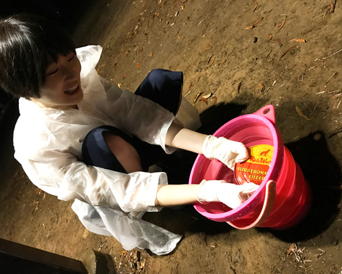 チョーヒカル ゲテモノデート ゲテモノ シュールストレミング