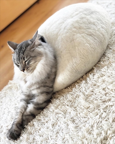 ベッドと同化する猫ちゃん