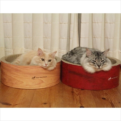 ベッドと同化する猫ちゃん