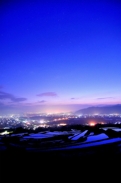 Sho-Comi 4月の君、スピカ。 杉山美和子 FANTASTICS from  EXILE TRIBE 佐藤大樹 福原遥