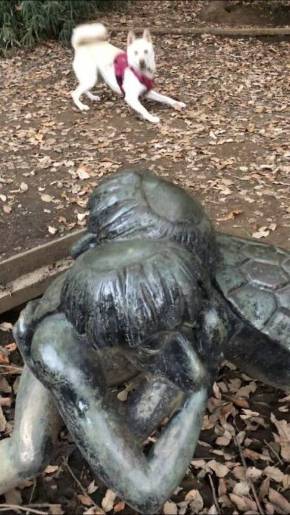 カッパが怖い犬