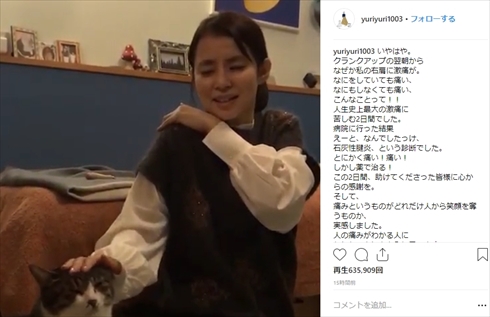 石田ゆり子 石灰性腱炎 右肩 激痛 映画 マチネの終わりに 猫 ペット タビ