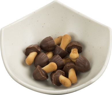 きの山キャラめる