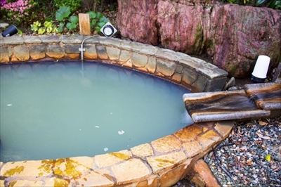 トリップアドバイザー日帰り温泉＆スパランキング