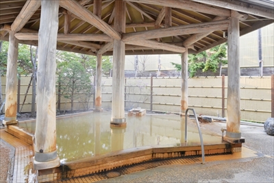 トリップアドバイザー日帰り温泉＆スパランキング