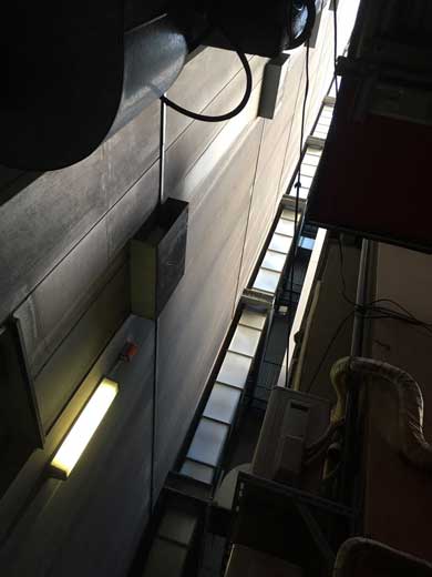 銀座 ど真ん中 異世界 扉 豊岩稲荷神社 路地裏