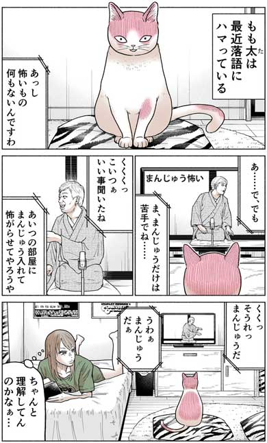 かしこい 猫 もも太 ギャル 漫画 中田あも Twitter 関西弁