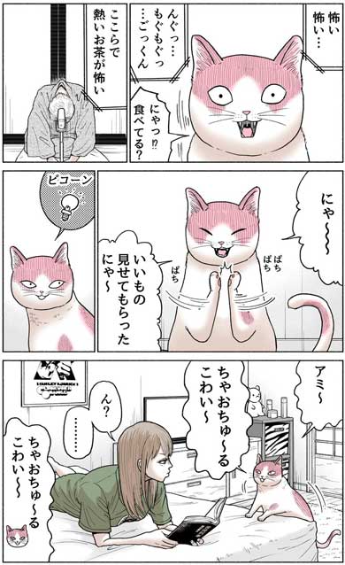かしこい 猫 もも太 ギャル 漫画 中田あも Twitter 関西弁