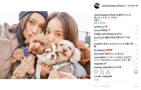 佐々木希 大政絢 犬 もふもふ ドッグラン 美女