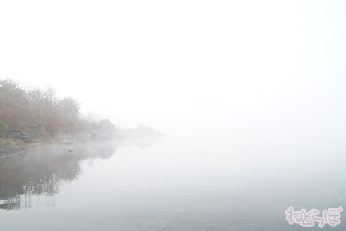 ロケ地探訪 ロケ地巡り 避雷針 平手友梨奈 欅坂46