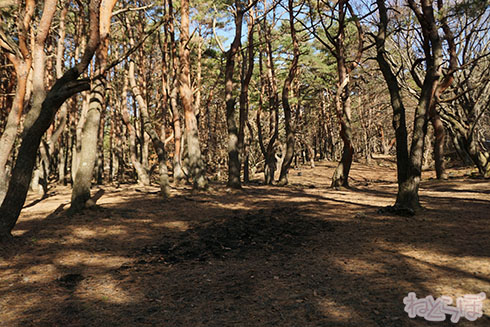 ロケ地探訪 ロケ地巡り 避雷針 平手友梨奈 欅坂46