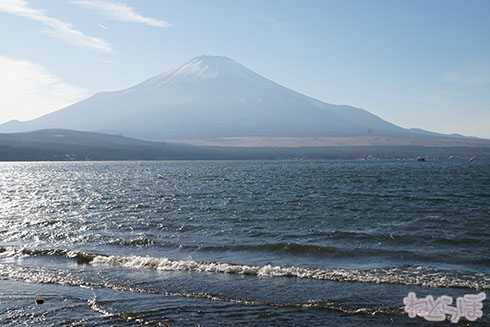 ロケ地探訪 ロケ地巡り 避雷針 平手友梨奈 欅坂46