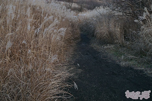 ロケ地探訪 ロケ地巡り 避雷針 平手友梨奈 欅坂46