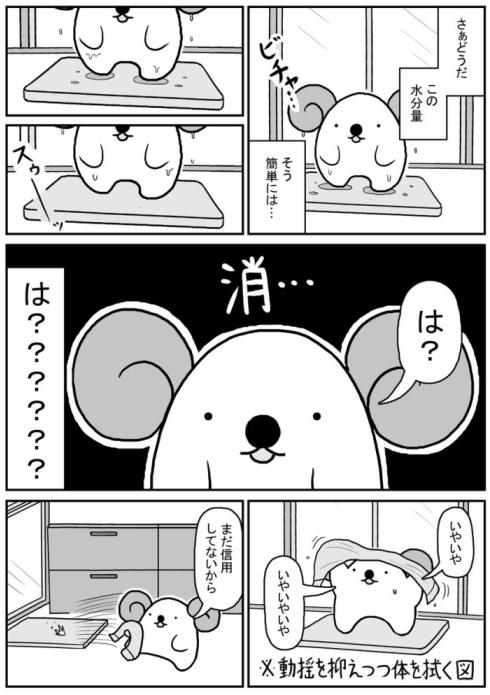 珪藻土バスマット02