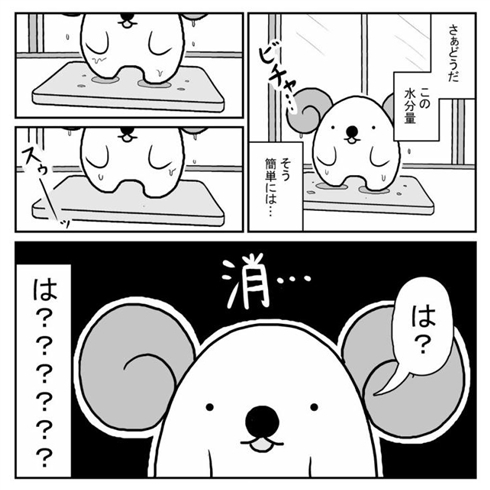 珪藻土バスマット04