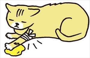 猫と一緒に生き残る防災BOOK