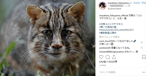 福山雅治 コラージュ 長崎 ツシマヤマネコ 対馬 青いぜ長崎の島