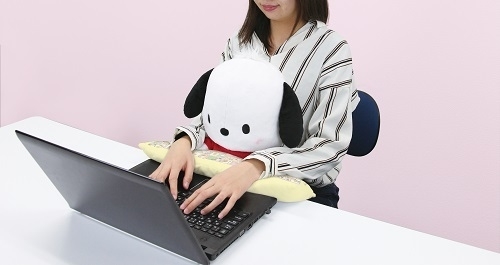 PCクッション　ポチャッコ