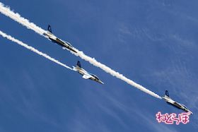 岐阜 航空祭 航空自衛隊 ひそねとまそたん