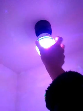 トイレ ディスコ