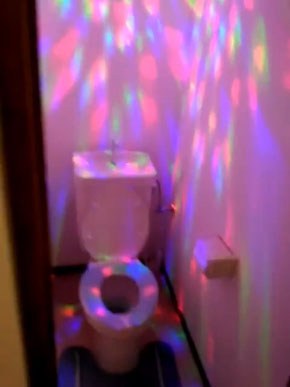 トイレ ディスコ