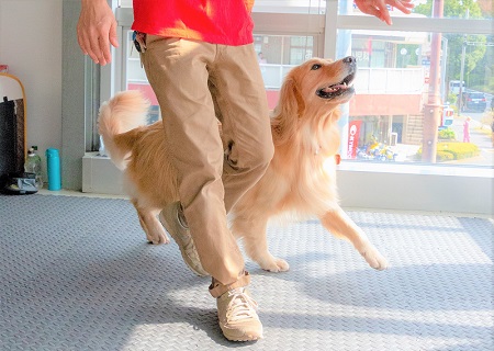 こー君　ダンス