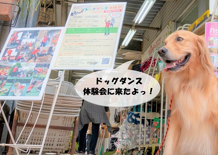 こー君　ダンス