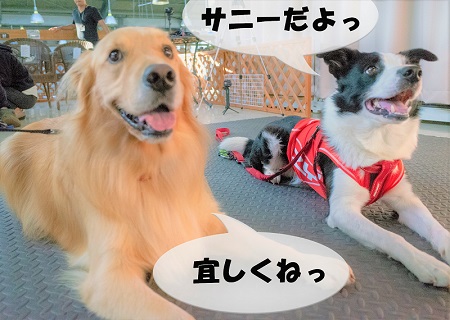 こー君　ダンス