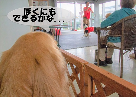 こー君　ダンス