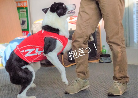 こー君　ダンス