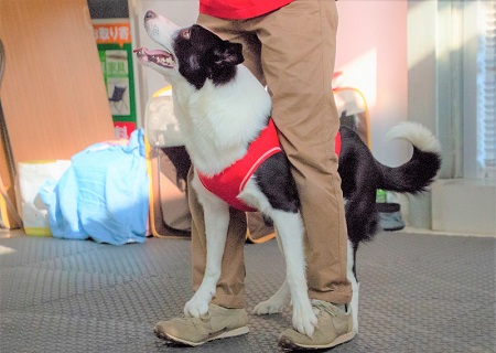 こー君　ダンス