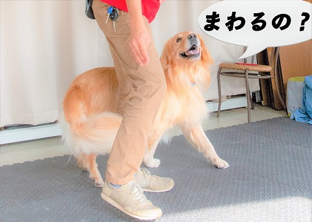 こー君　ダンス