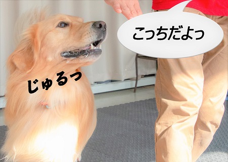 こー君　ダンス